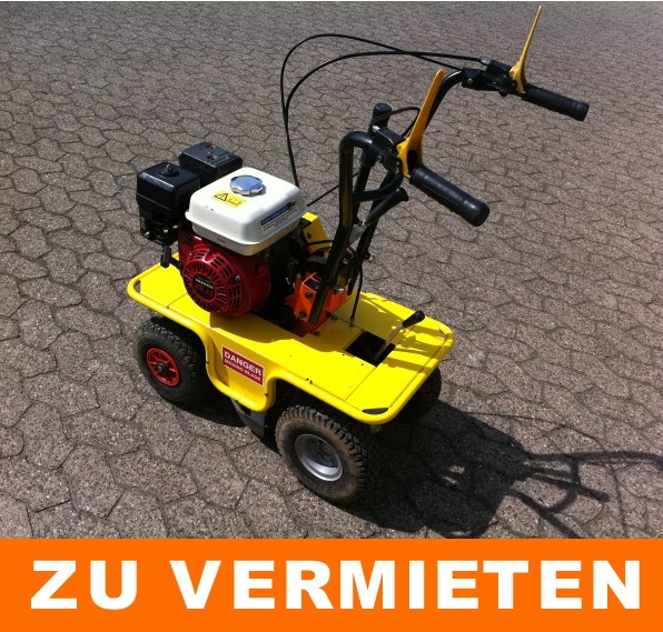 Rasenschälmaschine mit Benzin Motor, Rasenschälmaschinen 6989713840