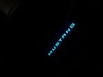 Ford Mustang GT 5.0 V8 450PS