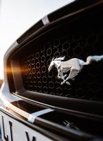 Ford Mustang GT 5.0 V8 Cabrio mieten - Sportwagen selber fahren