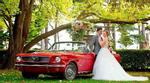 FORD MUSTANG V8 | OLDTIMER