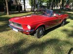 FORD MUSTANG V8 | OLDTIMER