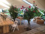 Festzelt / Partyzelt / Zelt - Free Tent Stretchzelt