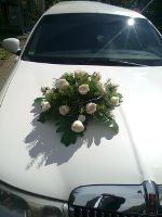 Stretchlimousine mit Chauffeur