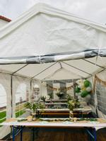 Partyzelt, Festzelt, Zelt zu vermieten | 3x6 |
