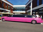 Stretchlimousine Pink o. Weiß - Limousine