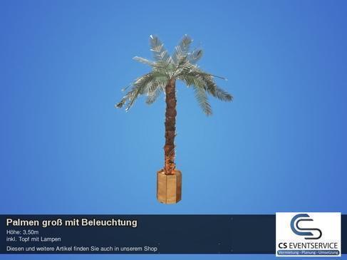 Palmen klein mit Beleuchtung, Palmen 1004971109 mieten