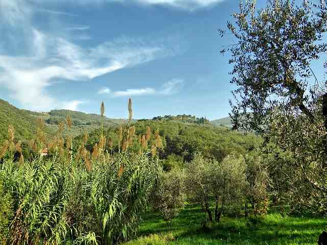 italienische-naturlandschaft