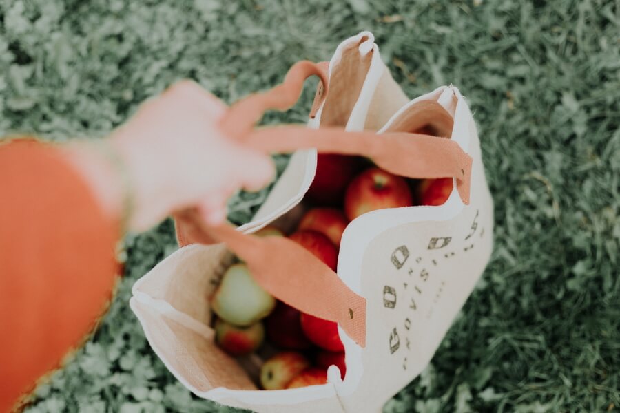 Einkaufsbeutel mit Obst und Gemüse