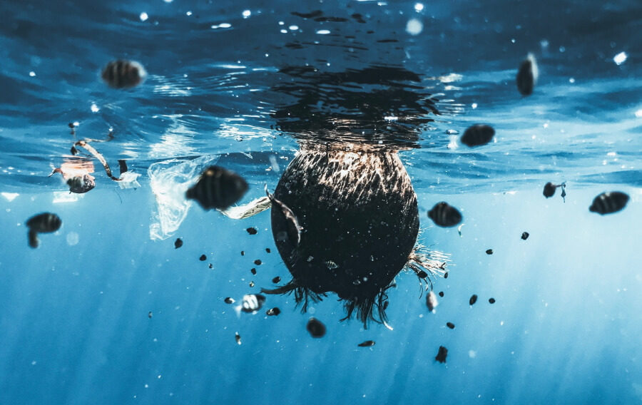 Kokosnuss und Plastikmüll schwimmen im Meer