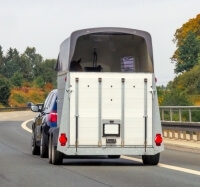 Weißer Pferdeanhänger auf Autobahn von hinten
